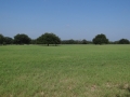 DSC08745