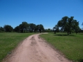 DSC07276.jpg