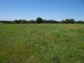 DSC07290.jpg
