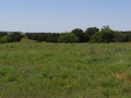 DSC07291.jpg