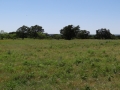 DSC07305.jpg