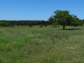 DSC07324.jpg