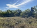 IMG_3696