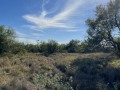 IMG_3701