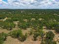 2-web-or-mls-Aerial-2