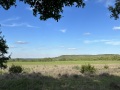 IMG_1776