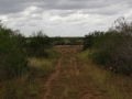 DSC07732.JPG