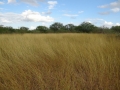 DSC07802.JPG
