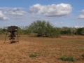 DSC07806.JPG