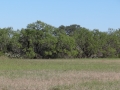 DSC04818