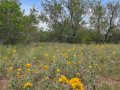 51-web-or-mls-DSC03198