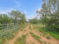 55-web-or-mls-DSC03203