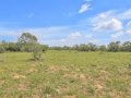 89-web-or-mls-DSC03241