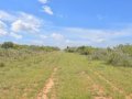 99-web-or-mls-DSC03251