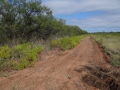 DSC07593.JPG