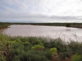 DSC07613.JPG