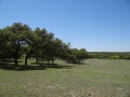 DSC08627