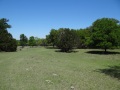 DSC08630