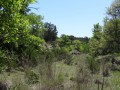 DSC08639